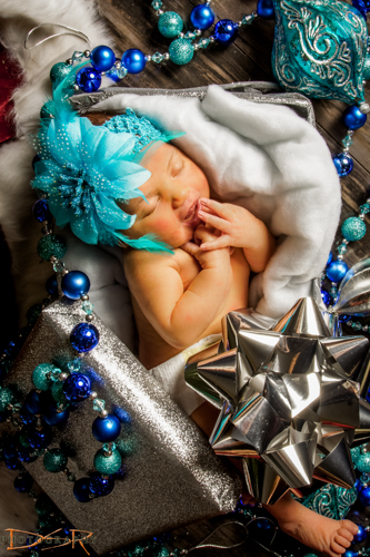 Newborn Photographers Santa Clara